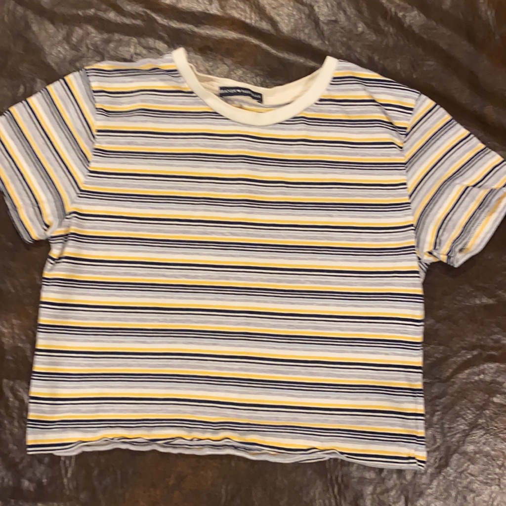 Brandy Melville Cropped T